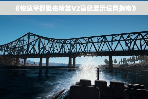 《快速掌握狙击精英V2高级显示设置指南》