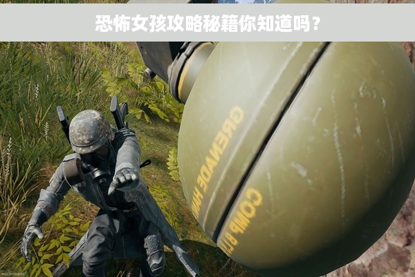 恐怖女孩攻略秘籍你知道吗？