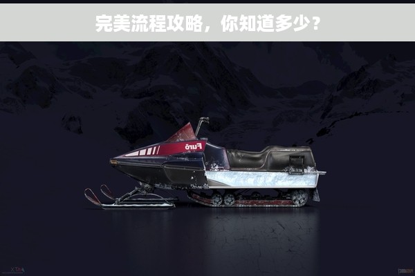 完美流程攻略，你知道多少？