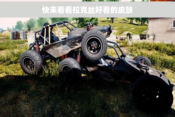 快来看看拉克丝好看的皮肤