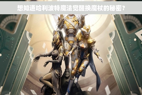 想知道哈利波特魔法觉醒换魔杖的秘密？