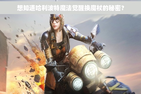 想知道哈利波特魔法觉醒换魔杖的秘密？