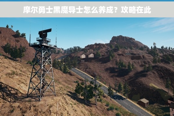 摩尔勇士黑魔导士怎么养成？攻略在此