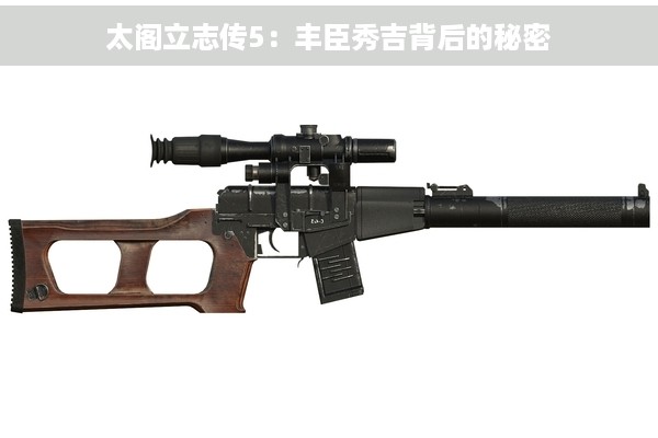 太阁立志传5：丰臣秀吉背后的秘密