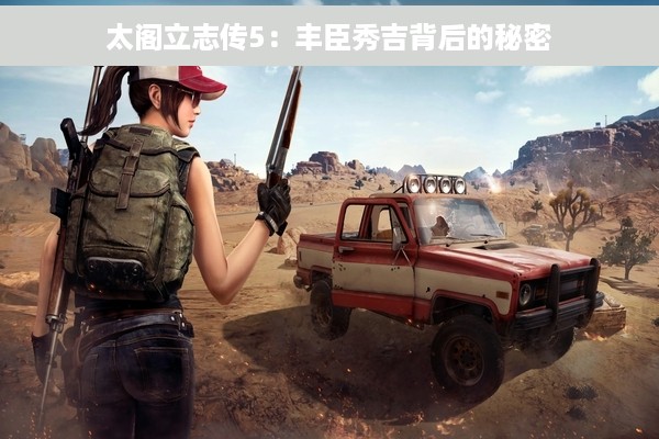 太阁立志传5：丰臣秀吉背后的秘密