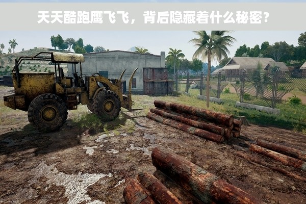 天天酷跑鹰飞飞，背后隐藏着什么秘密？