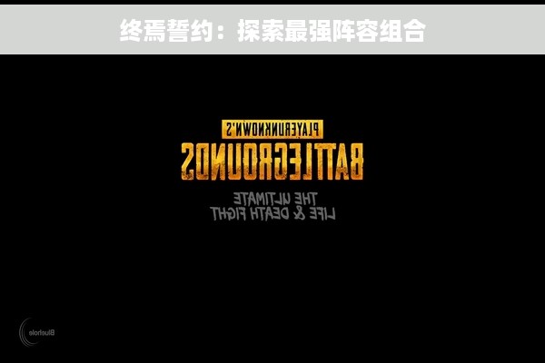 终焉誓约：探索最强阵容组合