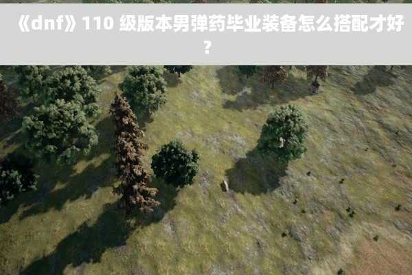 《dnf》110 级版本男弹药毕业装备怎么搭配才好？