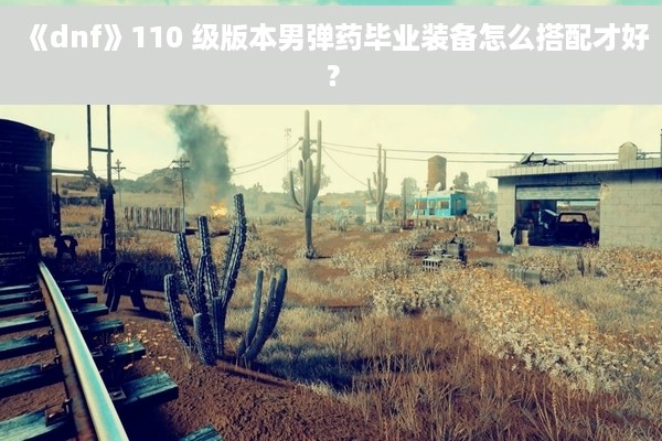 《dnf》110 级版本男弹药毕业装备怎么搭配才好？