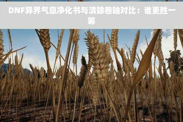 DNF异界气息净化书与清除卷轴对比：谁更胜一筹
