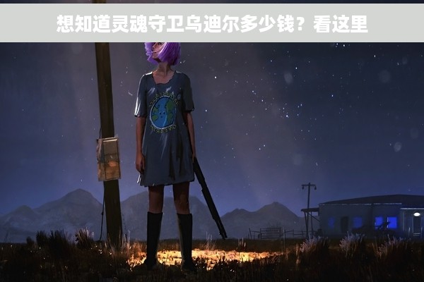 想知道灵魂守卫乌迪尔多少钱？看这里