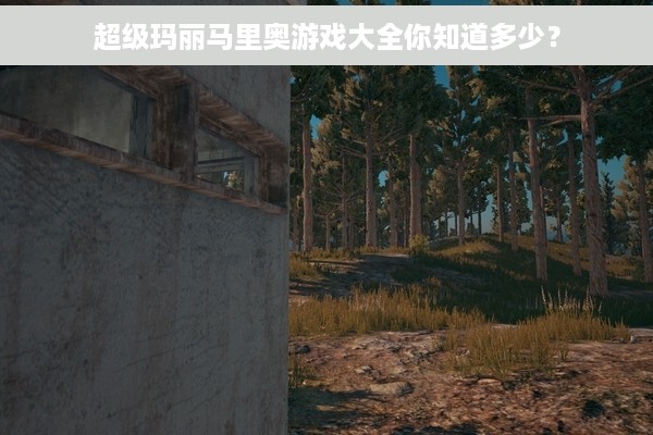 超级玛丽马里奥游戏大全你知道多少？