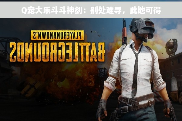 Q宠大乐斗斗神剑：别处难寻，此地可得