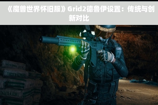 《魔兽世界怀旧服》Grid2德鲁伊设置：传统与创新对比