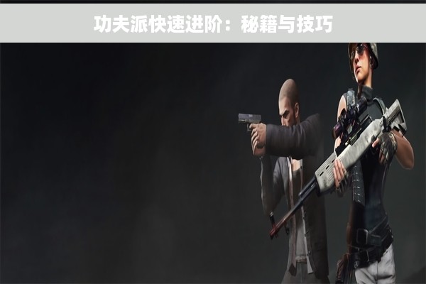 功夫派快速进阶：秘籍与技巧
