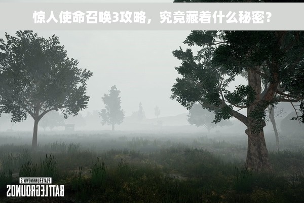惊人使命召唤3攻略，究竟藏着什么秘密？