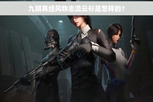 九阴真经风物志流云衫是怎样的？