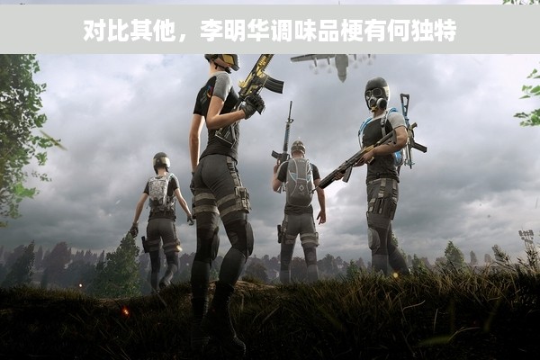 对比其他，李明华调味品梗有何独特