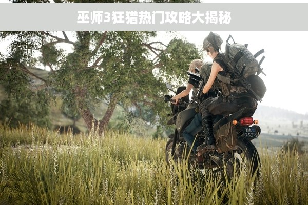 巫师3狂猎热门攻略大揭秘