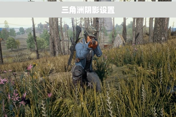 三角洲阴影设置