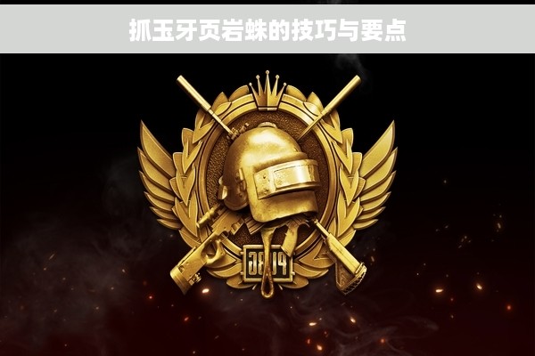 抓玉牙页岩蛛的技巧与要点