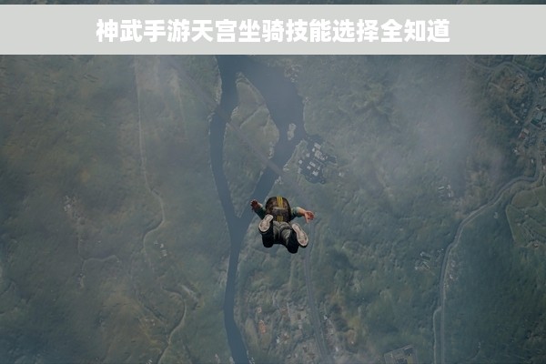 神武手游天宫坐骑技能选择全知道