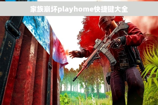 家族崩坏playhome快捷键大全