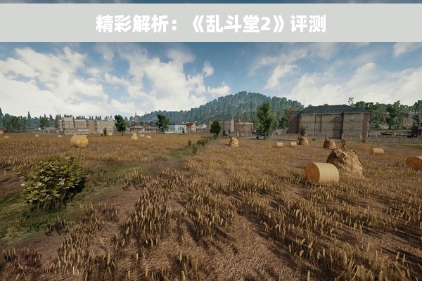 精彩解析：《乱斗堂2》评测