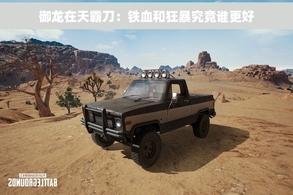 御龙在天霸刀：铁血和狂暴究竟谁更好