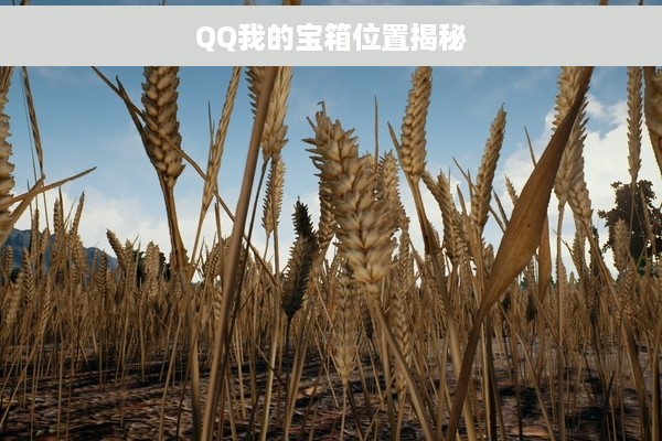 QQ我的宝箱位置揭秘