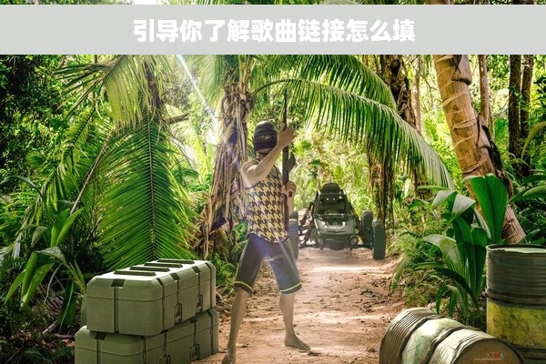 引导你了解歌曲链接怎么填