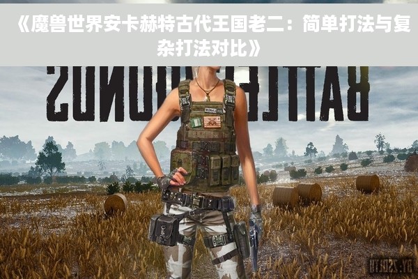 《魔兽世界安卡赫特古代王国老二：简单打法与复杂打法对比》