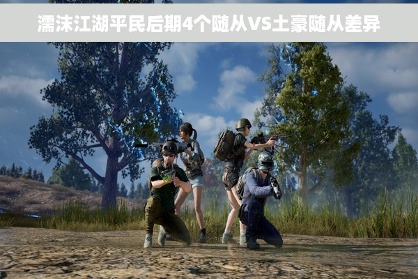 濡沫江湖平民后期4个随从VS土豪随从差异