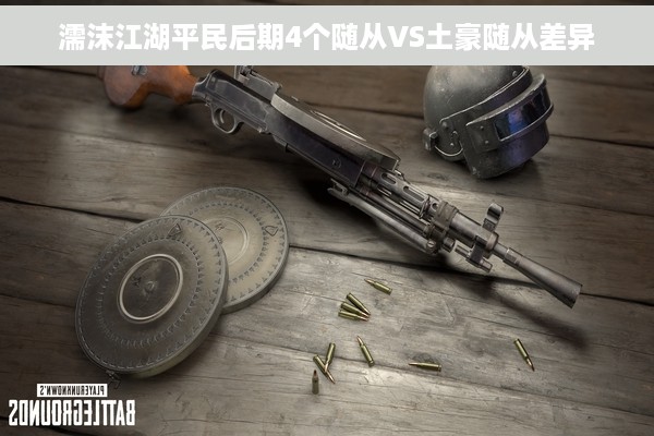 濡沫江湖平民后期4个随从VS土豪随从差异