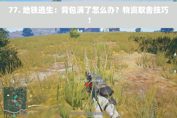 77. 地铁逃生：背包满了怎么办？物资取舍技巧！