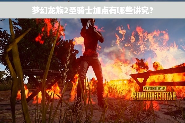 梦幻龙族2圣骑士加点有哪些讲究？