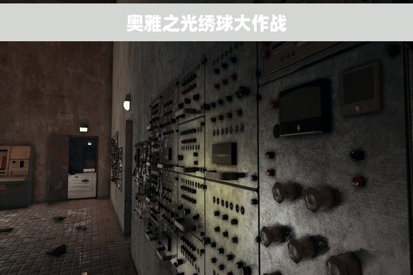 奥雅之光绣球大作战