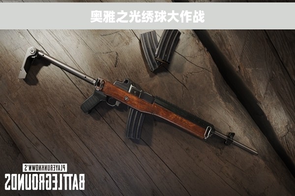 奥雅之光绣球大作战