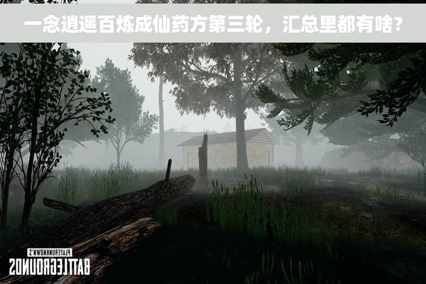 一念逍遥百炼成仙药方第三轮，汇总里都有啥？