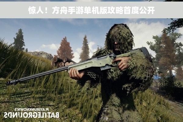 惊人！方舟手游单机版攻略首度公开