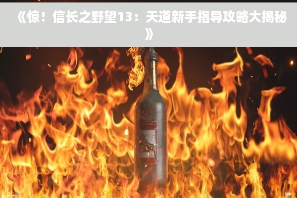 《惊！信长之野望13：天道新手指导攻略大揭秘》