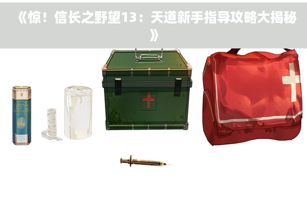 《惊！信长之野望13：天道新手指导攻略大揭秘》