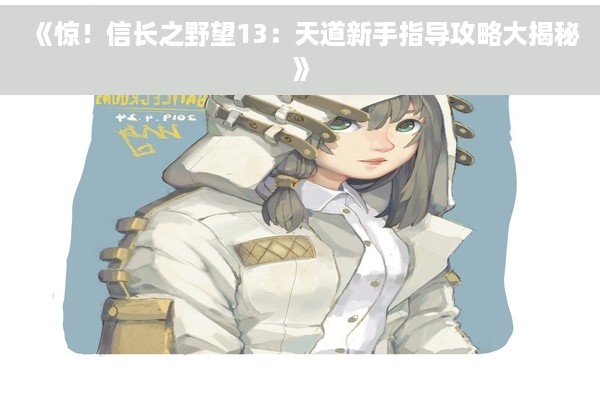 《惊！信长之野望13：天道新手指导攻略大揭秘》