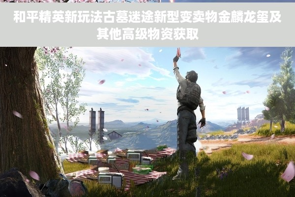 和平精英新玩法古墓迷途新型变卖物金麟龙玺及其他高级物资获取