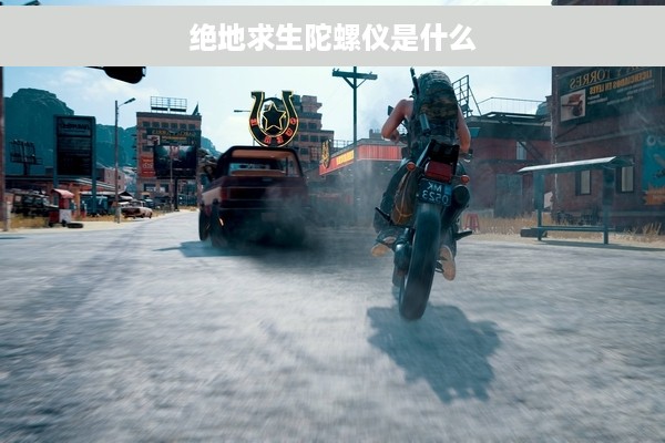 绝地求生陀螺仪是什么