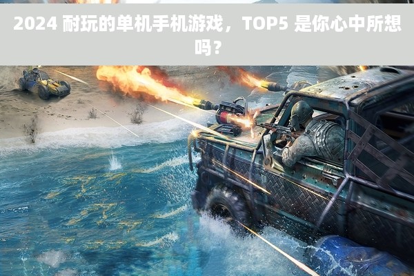 2024 耐玩的单机手机游戏，TOP5 是你心中所想吗？