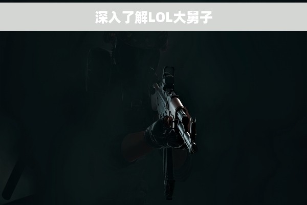 深入了解LOL大舅子
