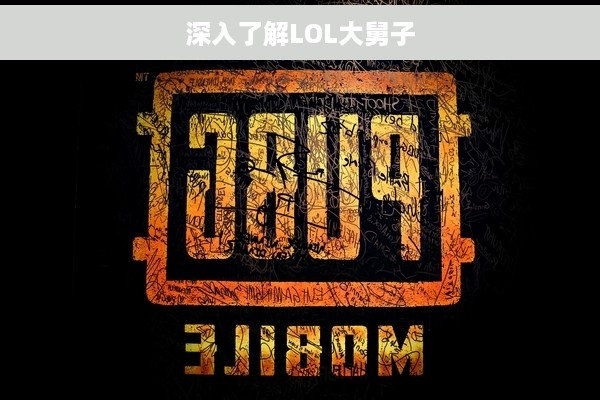 深入了解LOL大舅子