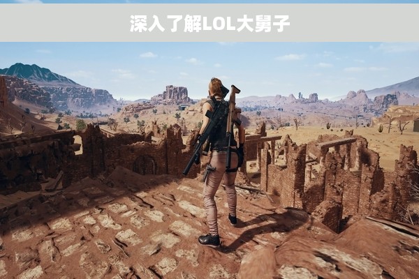 深入了解LOL大舅子