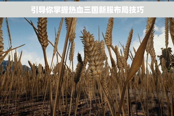 引导你掌握热血三国新服布局技巧